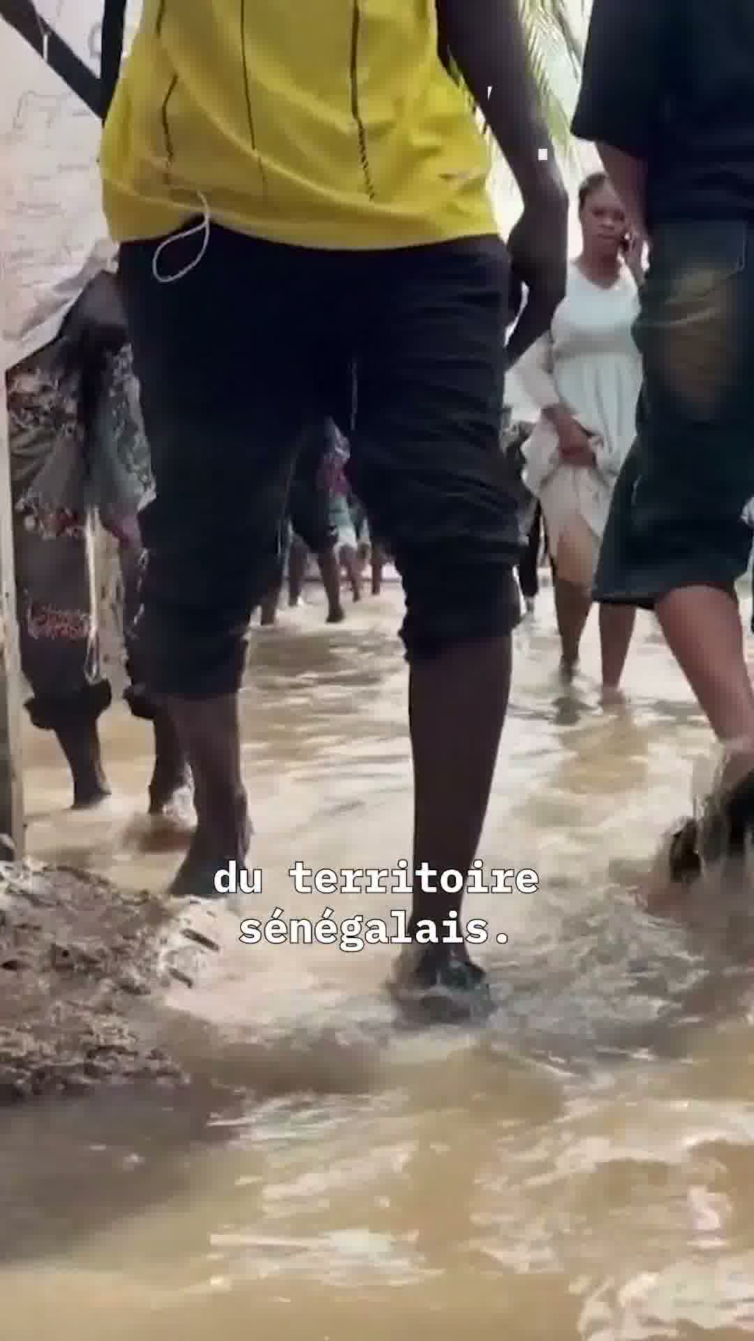 Senegal hit by torrential rains. Dakar affected, floods cause chaos in several districts of the capital.