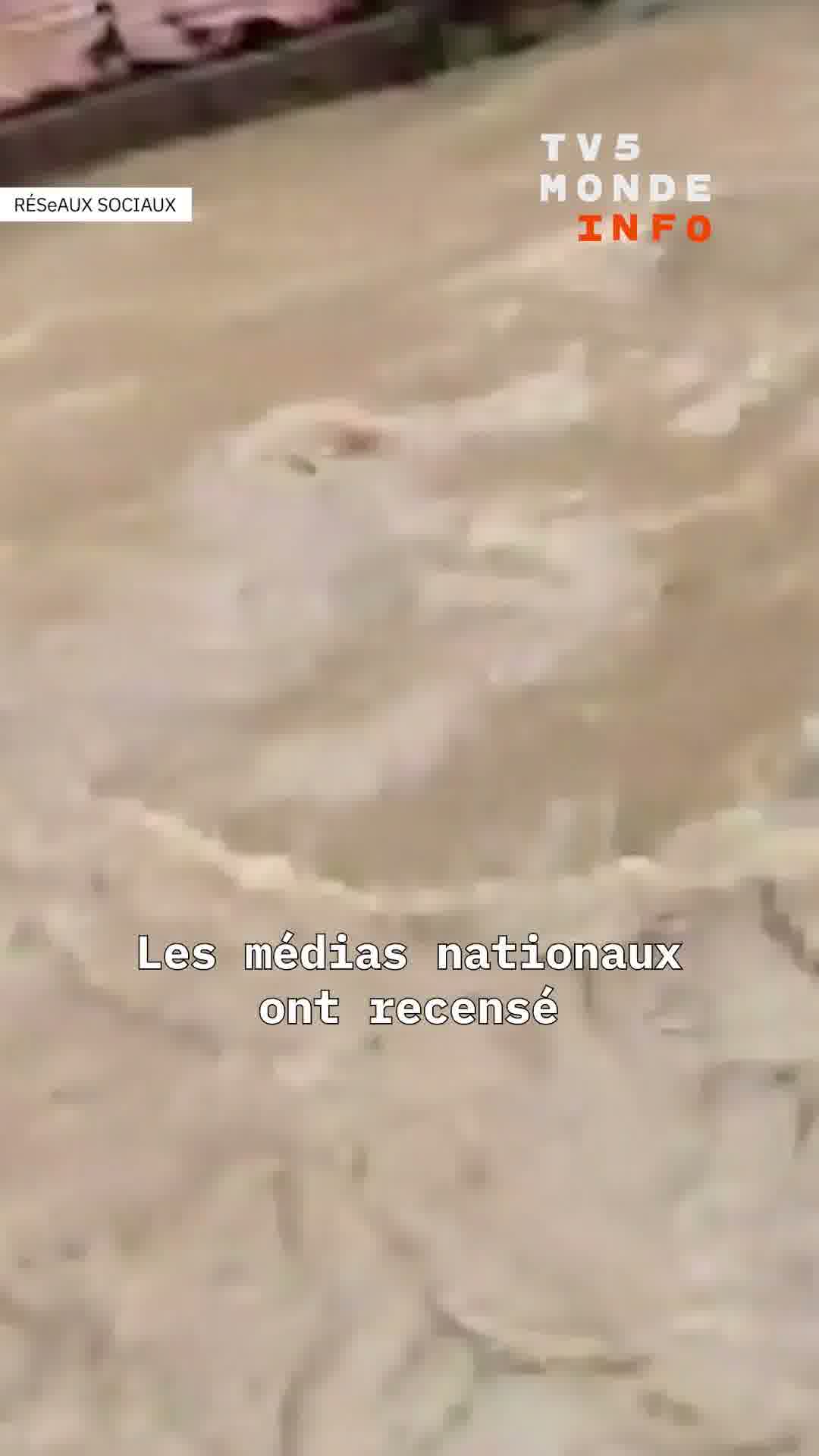 Senegal hit by torrential rains. Dakar affected, floods cause chaos in several districts of the capital.