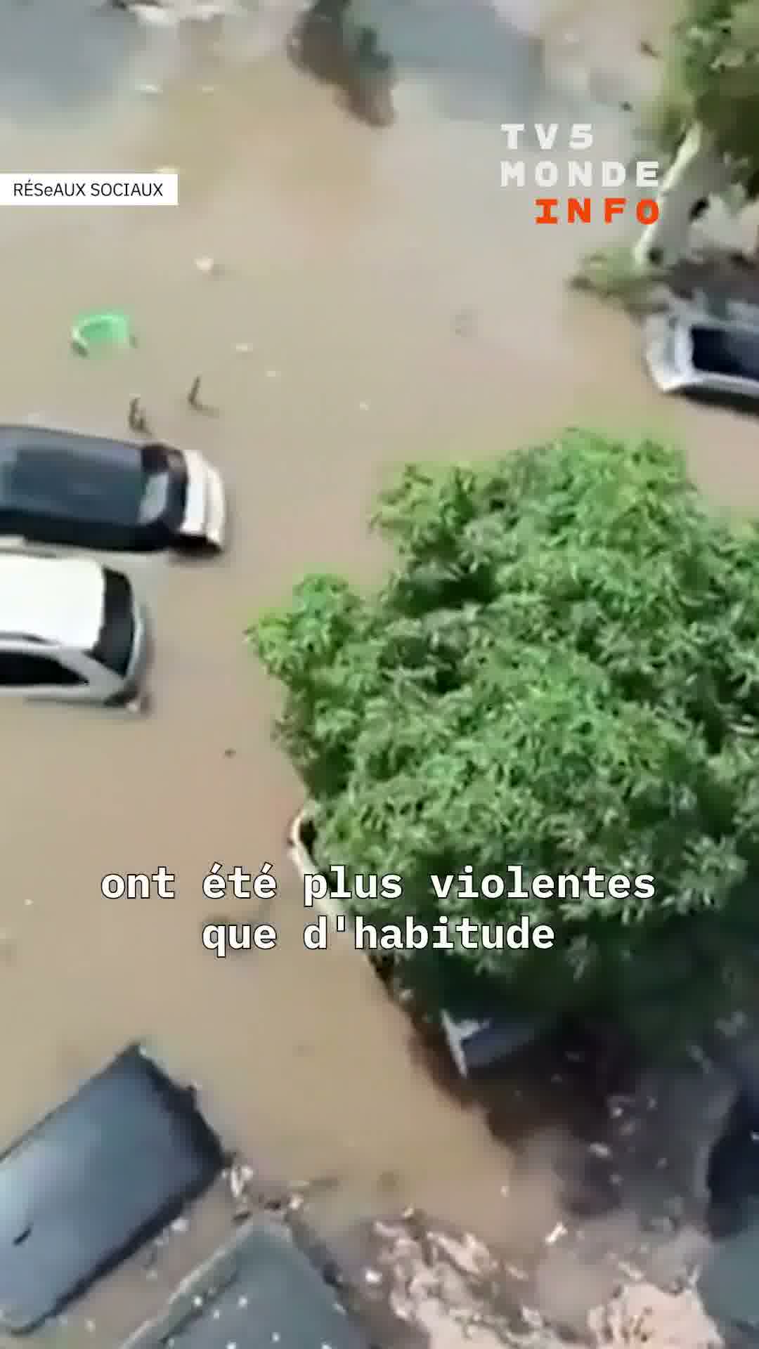 Senegal hit by torrential rains. Dakar affected, floods cause chaos in several districts of the capital.
