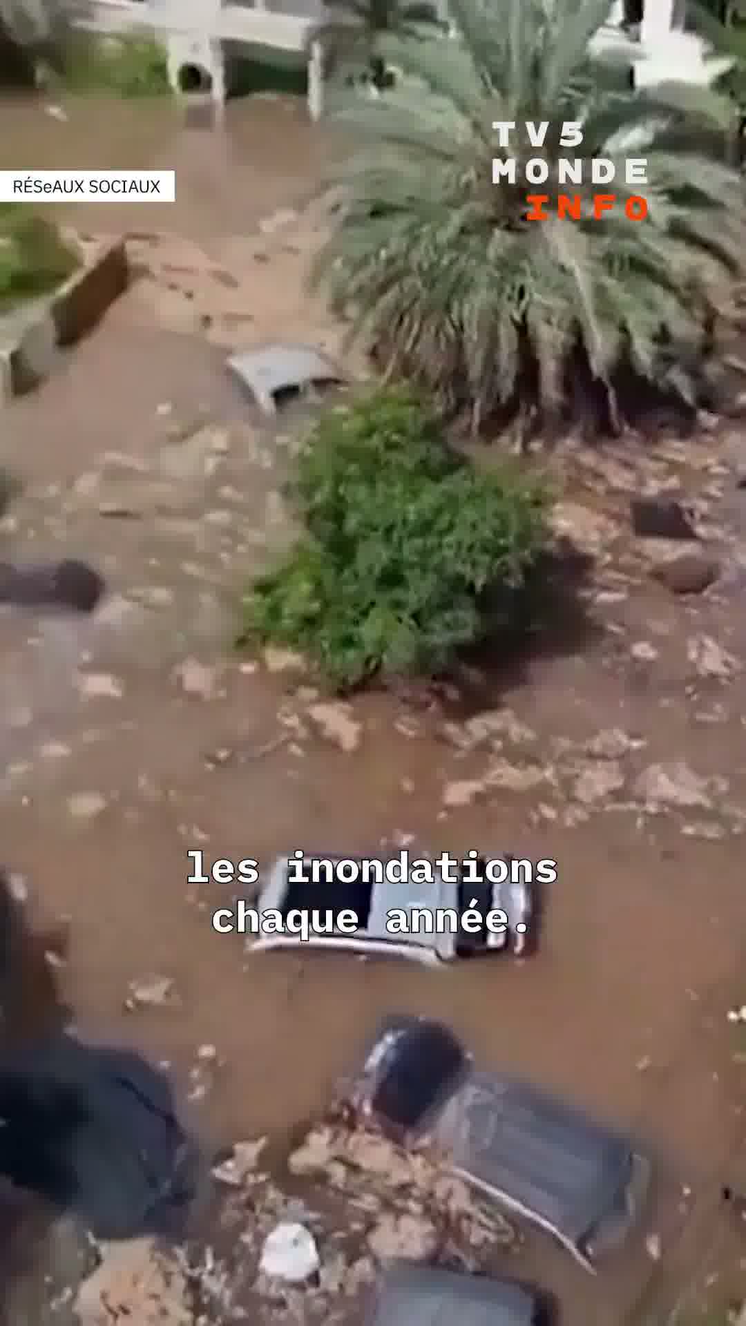 Senegal hit by torrential rains. Dakar affected, floods cause chaos in several districts of the capital.
