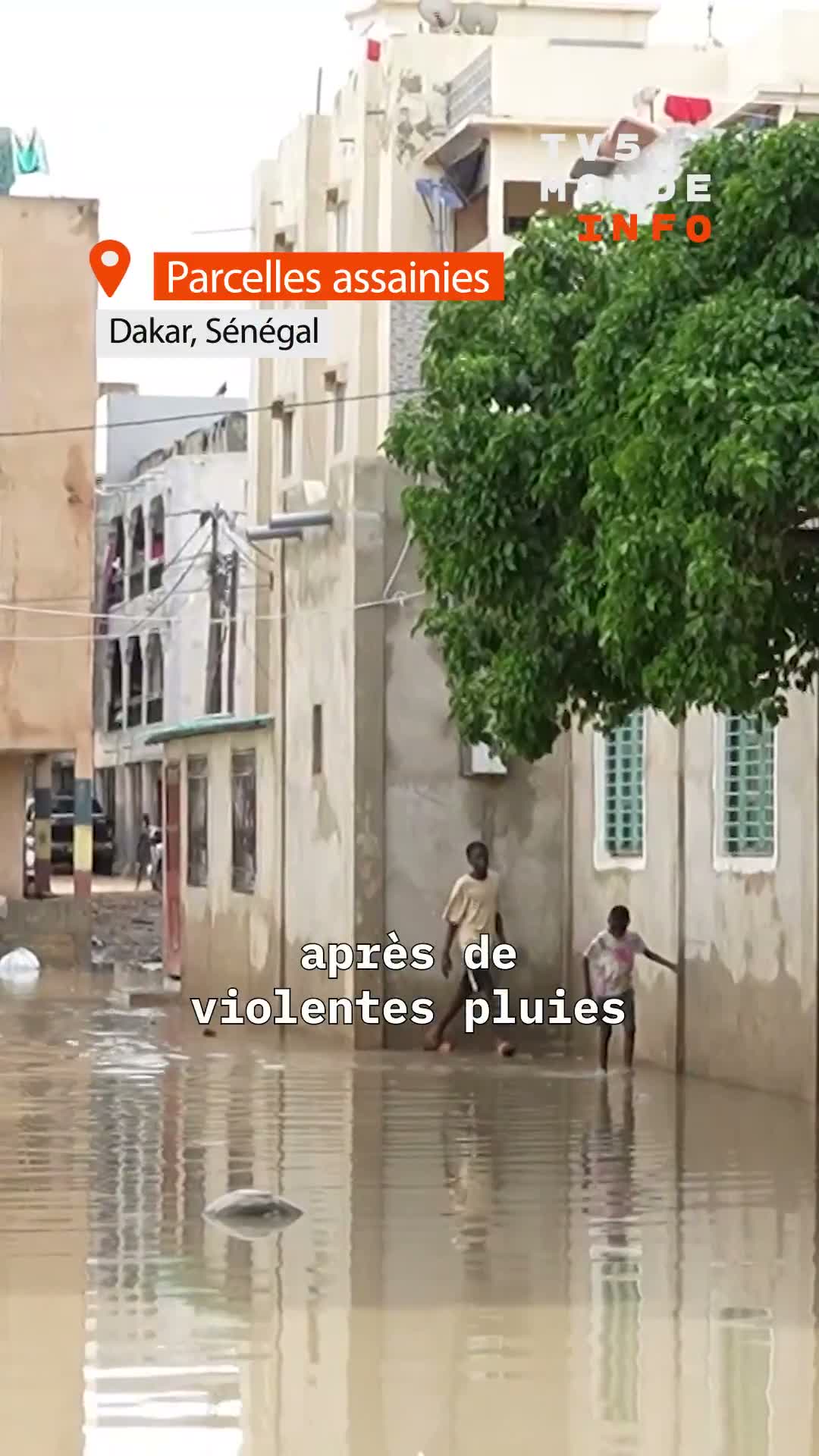Senegal hit by torrential rains. Dakar affected, floods cause chaos in several districts of the capital.
