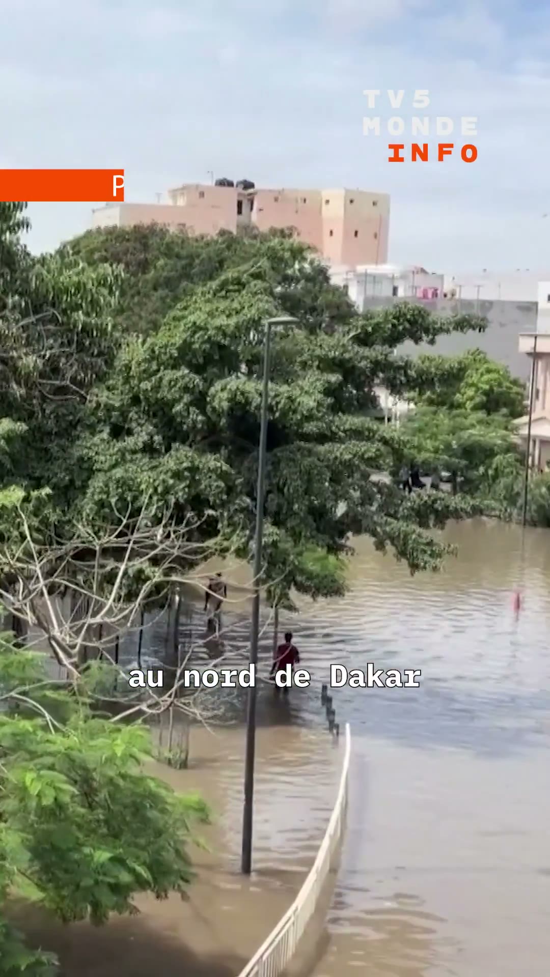 Senegal hit by torrential rains. Dakar affected, floods cause chaos in several districts of the capital.